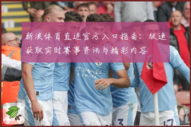 新浪体育直连官方入口指南：极速获取实时赛事资讯与精彩内容