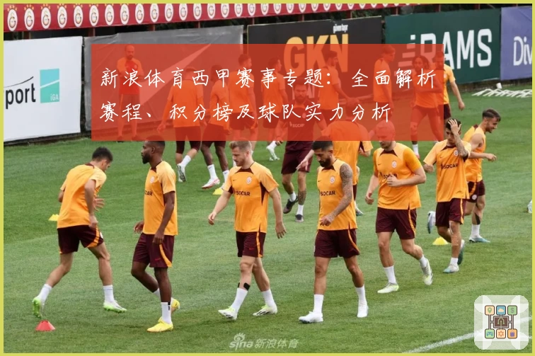 新浪体育西甲赛事专题:全面解析赛程、积分榜及球队实力分析