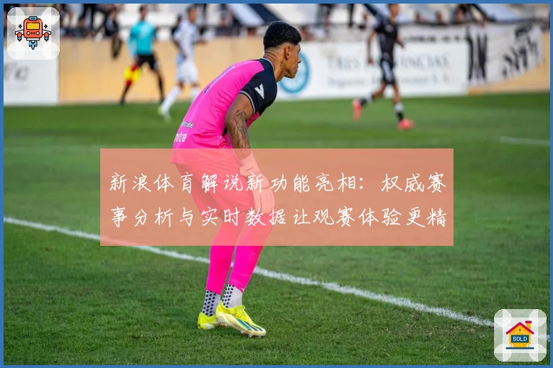 新浪体育解说新功能亮相：权威赛事分析与实时数据让观赛体验更精彩