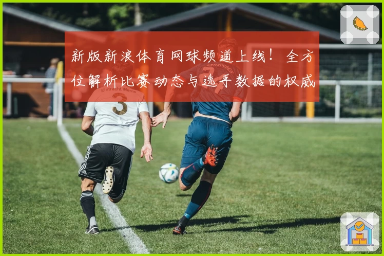 新版新浪体育网球频道上线！全方位解析比赛动态与选手数据的权威入口