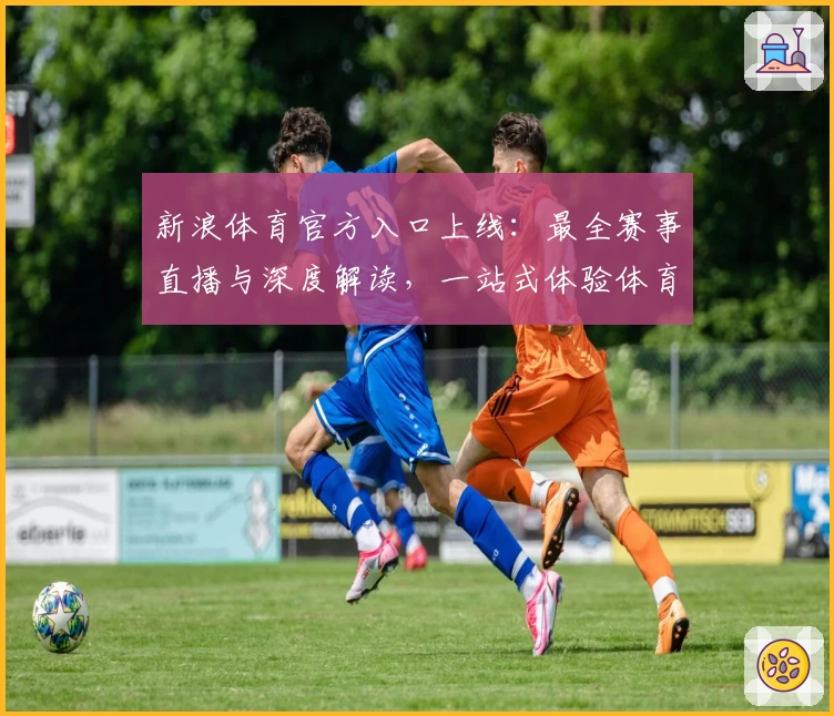 新浪体育官方入口上线：最全赛事直播与深度解读，一站式体验体育精彩瞬间