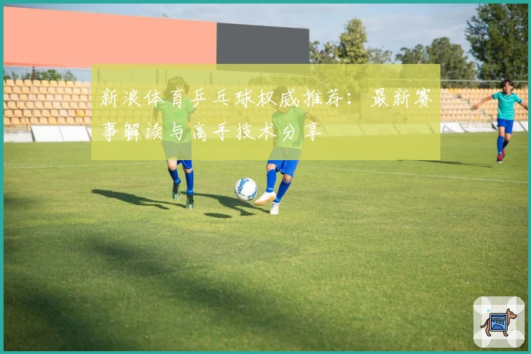 新浪体育乒乓球权威推荐：最新赛事解读与高手技术分享