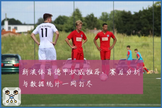 新浪体育德甲权威推荐，赛后分析与数据统计一网打尽