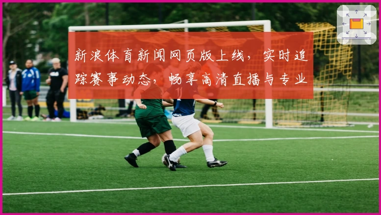新浪体育新闻网页版上线，实时追踪赛事动态，畅享高清直播与专业解读