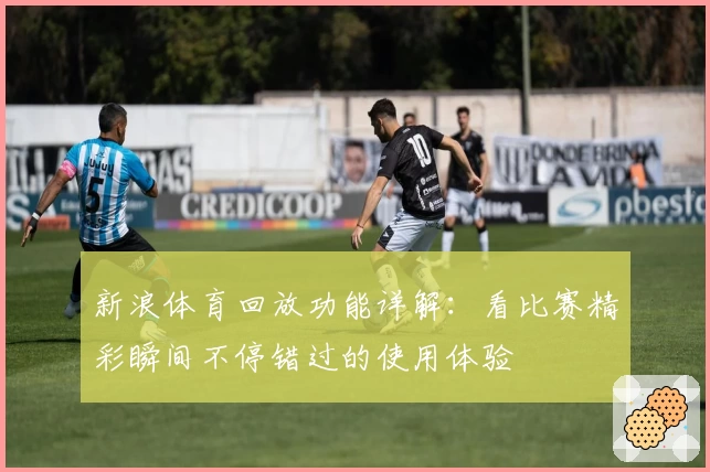 新浪体育回放功能详解：看比赛精彩瞬间不停错过的使用体验
