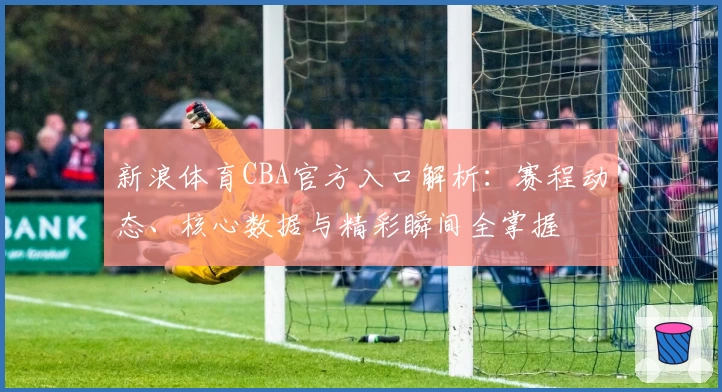 新浪体育CBA官方入口解析：赛程动态、核心数据与精彩瞬间全掌握