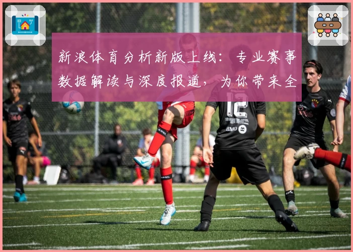 新浪体育分析新版上线：专业赛事数据解读与深度报道，为你带来全新阅读体验