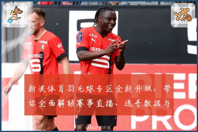 新浪体育羽毛球专区全新升级，带你全面解锁赛事直播、选手数据与教学干货