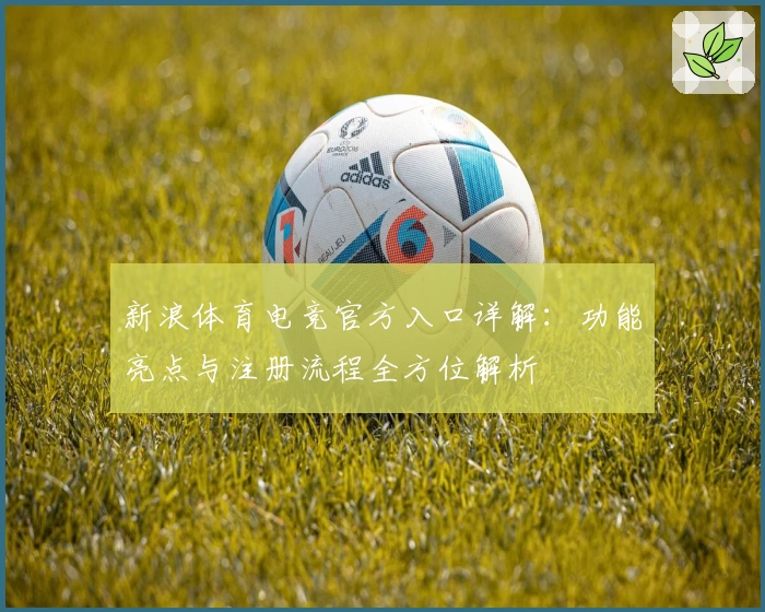 新浪体育电竞官方入口详解：功能亮点与注册流程全方位解析